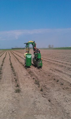 Traktor bei der Bearbeitung einer Pflanzfläche