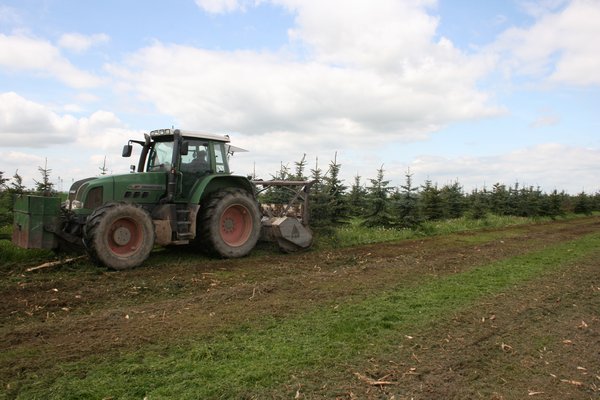 Traktor bei der Pflege der Weihnachtsbaumfläche