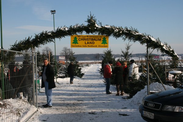 Weihnachtsbaumverkauf auf dem Feld in Dölzig