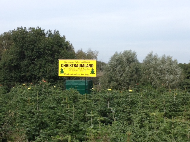 Weihnachtsbaumfeld mit Christbaumland-Schild in Lösau